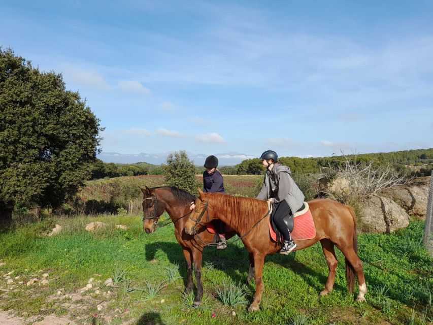 Mallorca: Authentic Horseback Ride in Rural Mallorca - Ending with grooming, photos, and refreshments