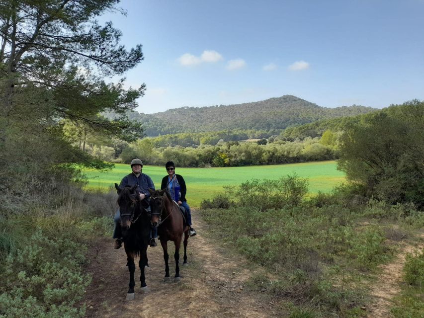 Mallorca: Authentic Horseback Ride in Rural Mallorca - Group size, languages, and practical limits