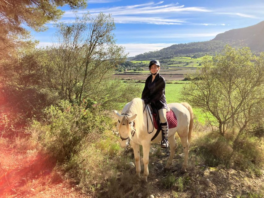 Mallorca: Authentic Horseback Ride in Rural Mallorca - Who should book this Mallorca horse ride?