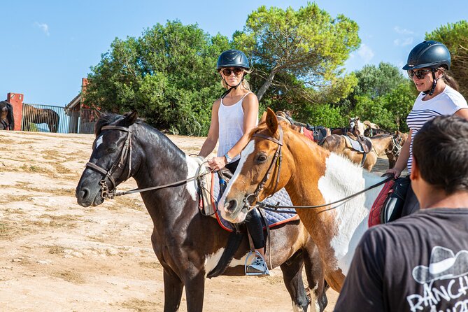Mallorca Evening Tour: Horseback Riding, Dinner and Dance - A ranch with more than 100 horses