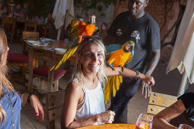 Mallorca Evening Tour: Horseback Riding, Dinner and Dance - Barbecue, sangria, and a casual ranch atmosphere