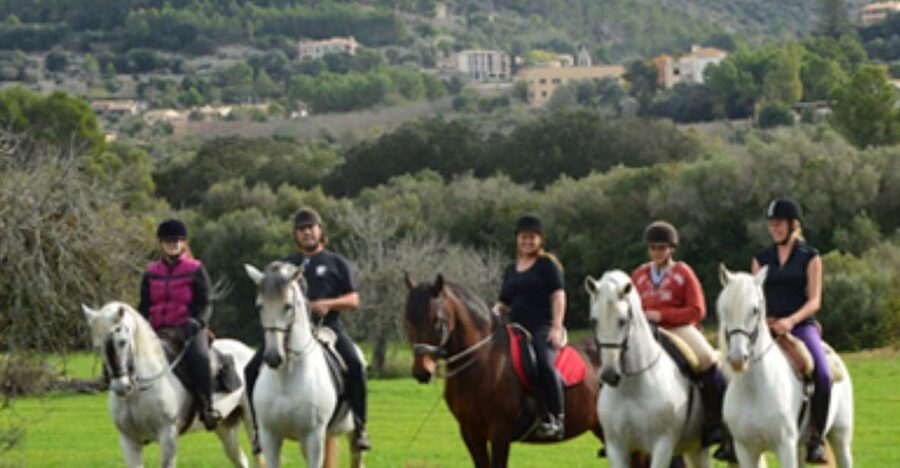 Mallorca: Guided Horseback Ride in Randa Valley - Key Points Before You Book