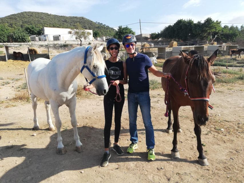 Mallorca: Guided Horseback Ride in Randa Valley - Who Should Book This Ride?