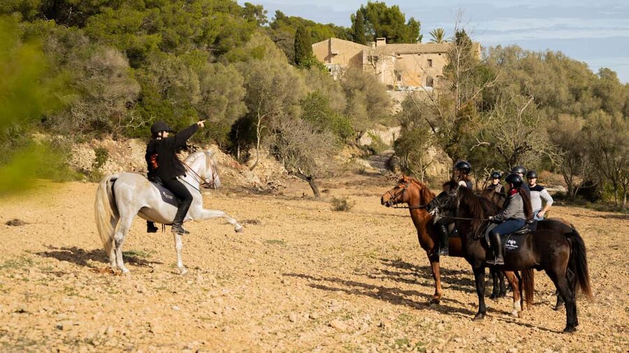 Mallorca: Guided Horseback Ride in Randa Valley - Why the Randa Valley Ride Works So Well