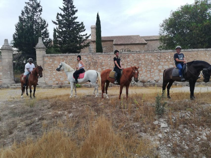 Mallorca: Guided Horseback Ride in Randa Valley - Grooming and Tacking Up Before the Ride