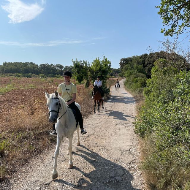 Mallorca: Guided Horseback Ride in Randa Valley - When You May Trot or Canter