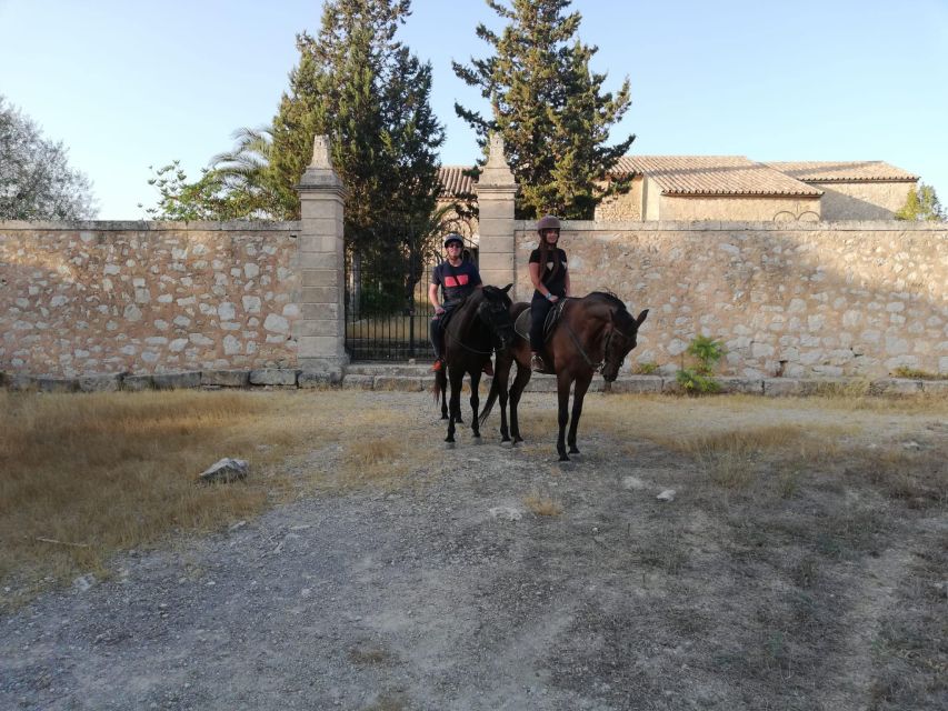 Mallorca: Guided Horseback Ride in Randa Valley - The Horses and the Human Side of the Experience