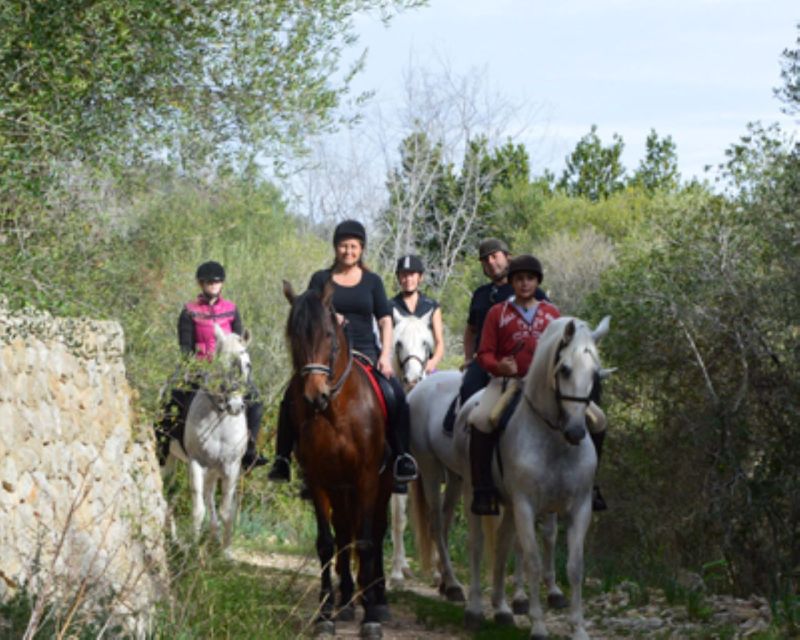 Mallorca: Guided Horseback Ride in Randa Valley - Arriving at Mallorca Horses