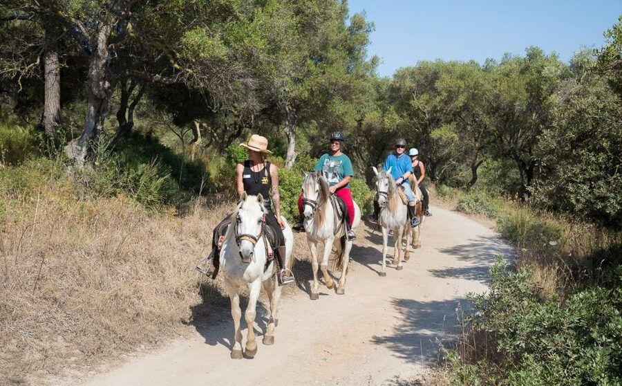 Mallorca: Horseback Riding Excursion and Wine Tasting - Key points to know before booking