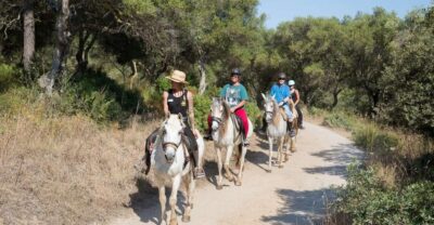 Mallorca: Horseback Riding Excursion and Wine Tasting