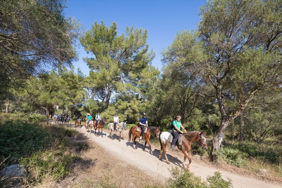 Mallorca: Horseback Riding Excursion and Wine Tasting - How the value adds up at $75