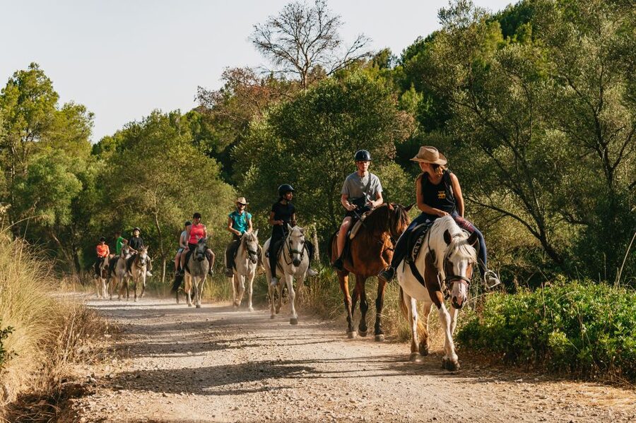 Mallorca: Horseback Riding Experience with Food Options - Who will enjoy this most