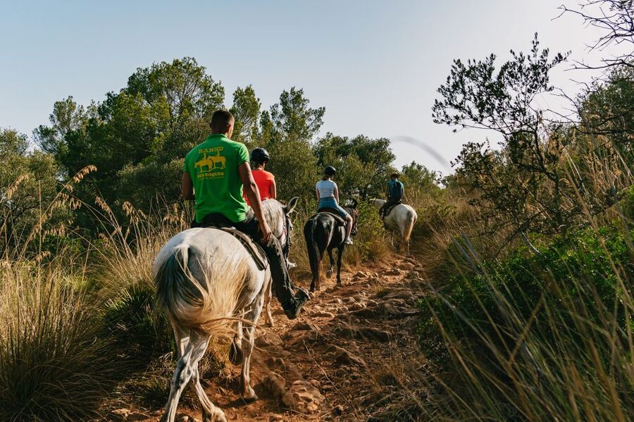 Mallorca: Horseback Riding Experience with Food Options - How the ride works for beginners