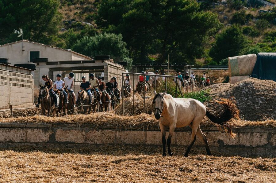 Mallorca: Horseback Riding Experience with Food Options - The food choices after riding