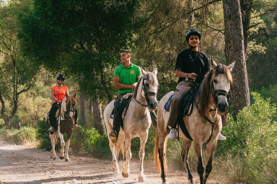 Mallorca: Horseback Riding Experience with Food Options - Practical clothing and safety advice