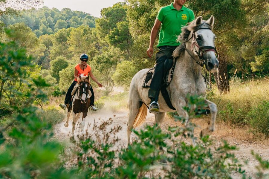 Mallorca: Horseback Riding Experience with Food Options - Helmets, horses, and a useful riding assessment