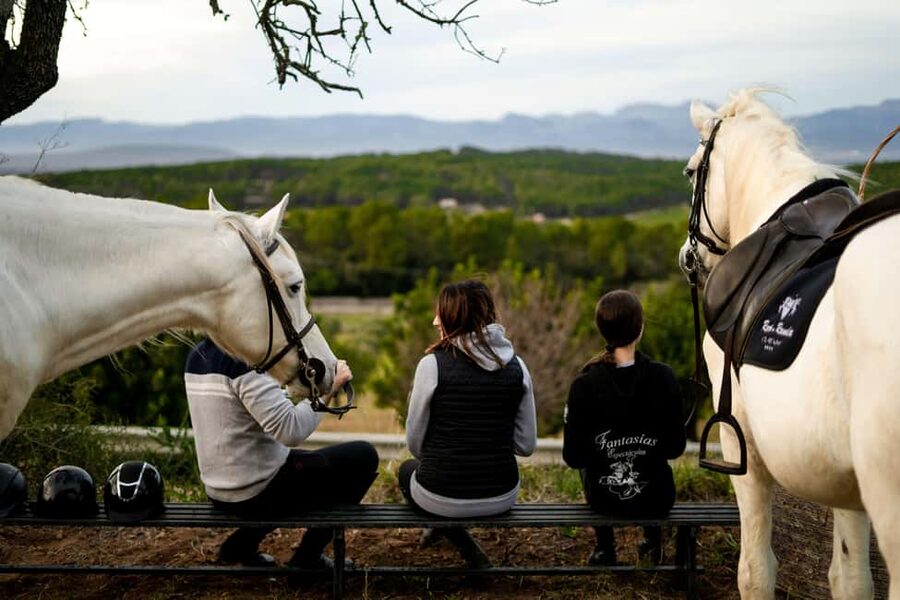 Mallorca: Sunset Horseback Ride with Drinks - Key points at a glance