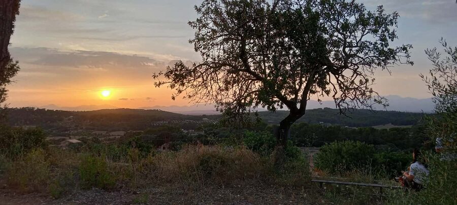 Mallorca: Sunset Horseback Ride with Drinks - Riding beneath Puig de Randa