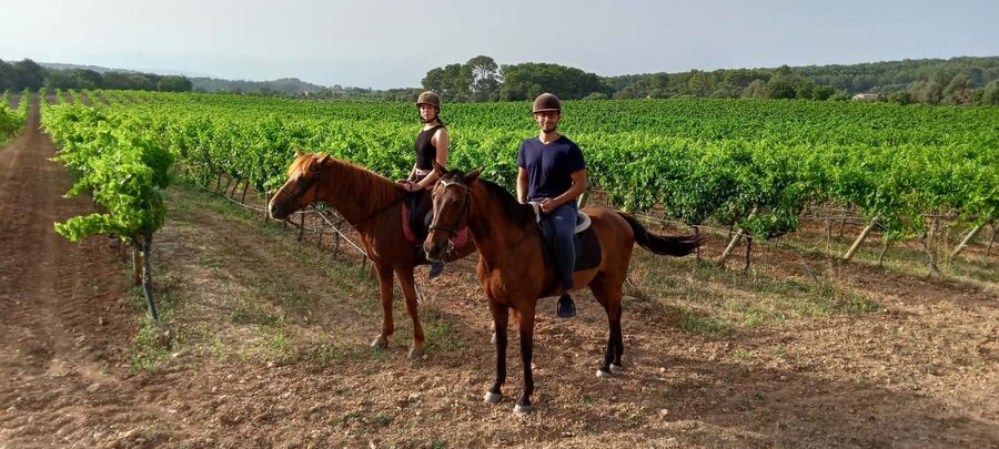 Mallorca: Sunset Horseback Ride with Drinks - What $182 includes, and what it does not