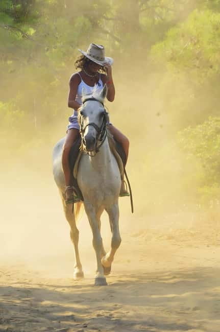 Manavgat Side: Horse Riding on the Beach and in the Forest - The horses, guides, and level of care
