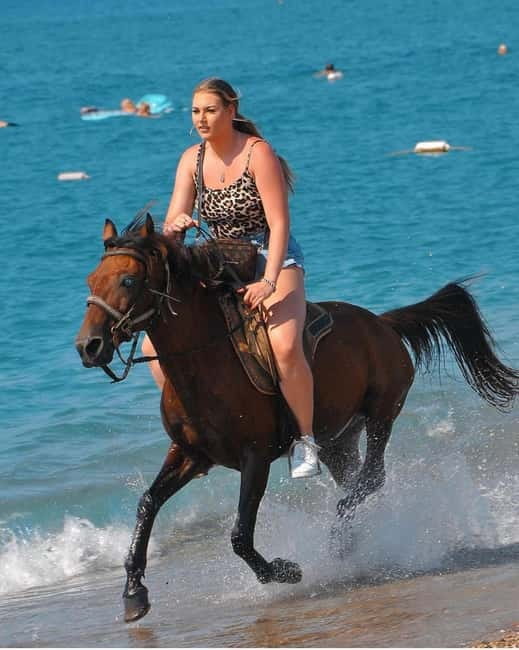 Manavgat Side: Horse Riding on the Beach and in the Forest - How much value do you get for $58?
