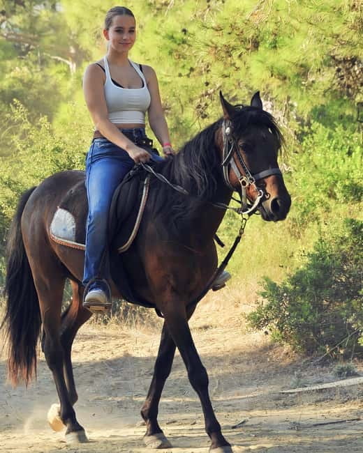 Manavgat Side: Horse Riding on the Beach and in the Forest - Practical timing and safety advice