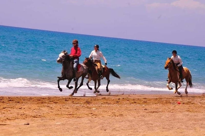 Manavgat Side: Horse Riding on the Beach and in the Forest - The pine forest trail and river pause