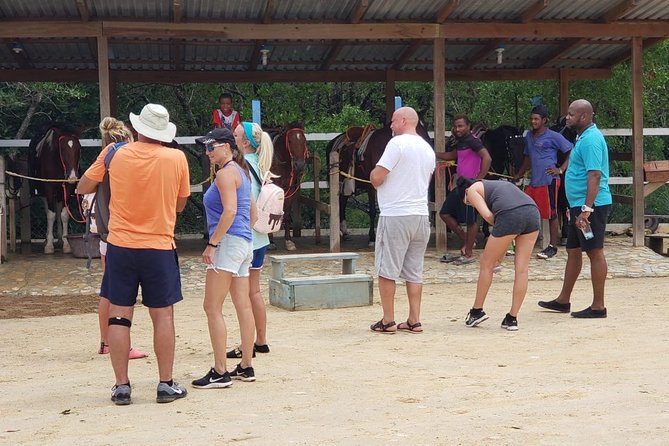 Mangrove tour,Horseback Riding, Snorkeling and beach in Roatan - A five-hour sampler of Roatan’s East End