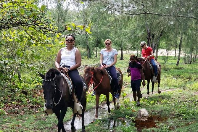 Mangrove tour,Horseback Riding, Snorkeling and beach in Roatan - Oak Ridge and the mangrove tunnels