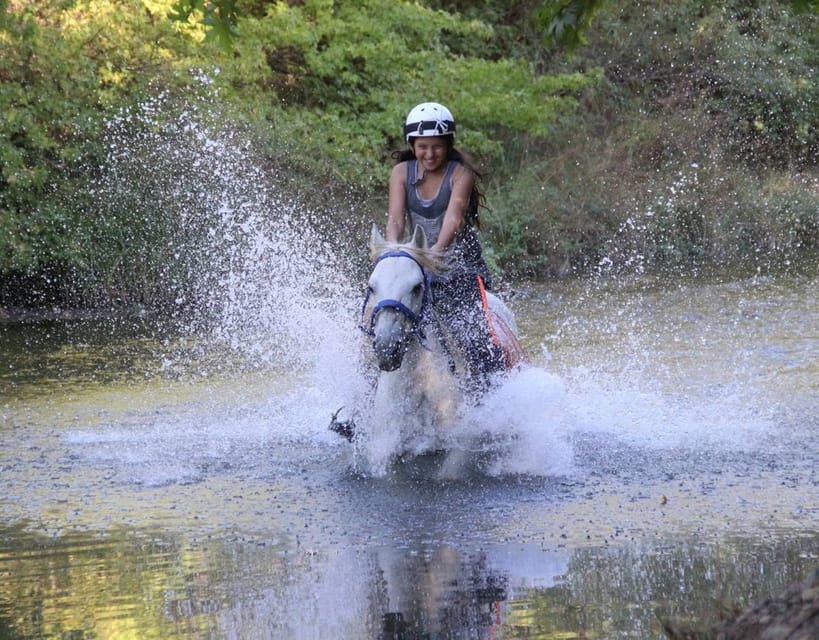 Marmaris: Horse Riding Experience with Hotel Transfers - Should you book it?