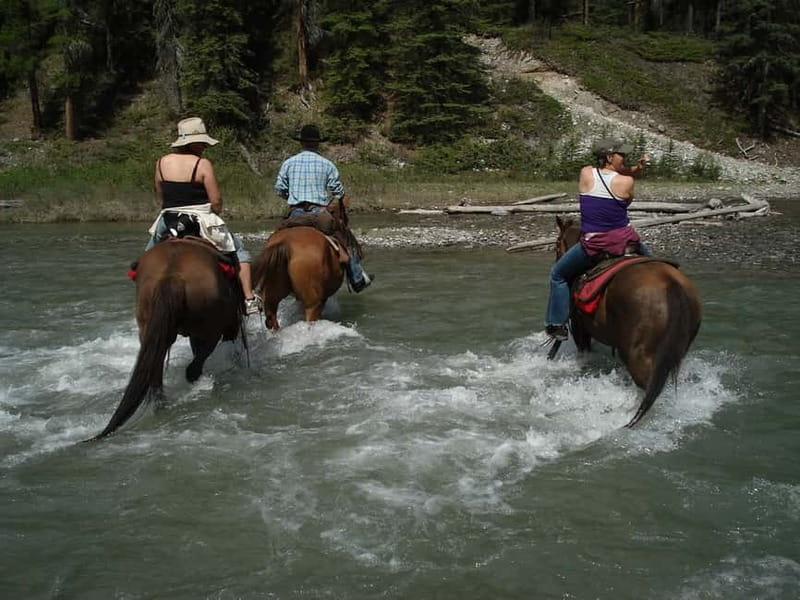 Marmaris: Horse Riding & Safari with Hotel Transfer - Key points before you saddle up