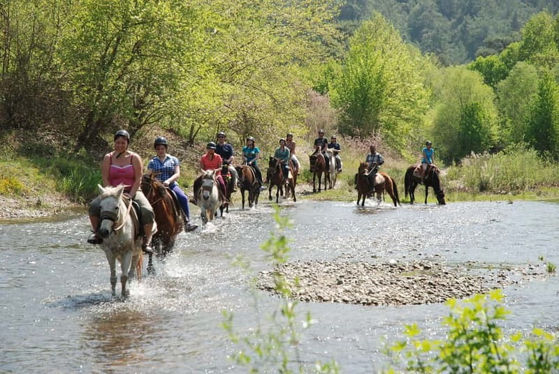 Marmaris: Horse Riding & Safari with Hotel Transfer - A short ride from Marmaris to the ranch