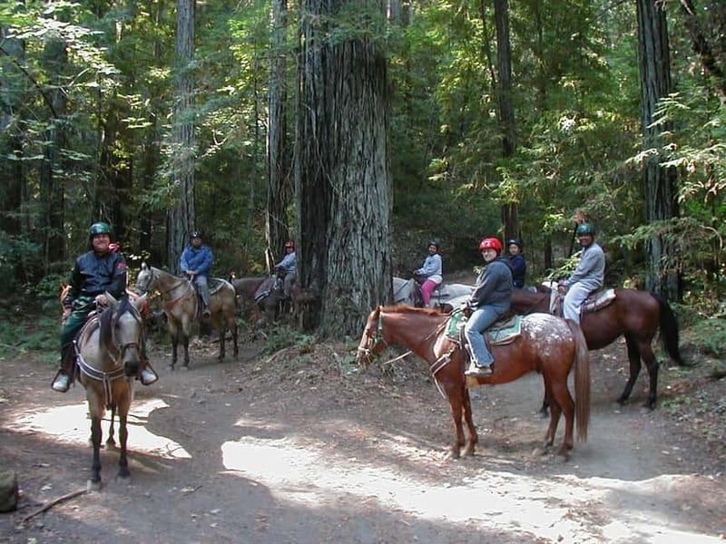 Marmaris: Horse Riding & Safari with Hotel Transfer - Who will enjoy this horse safari?