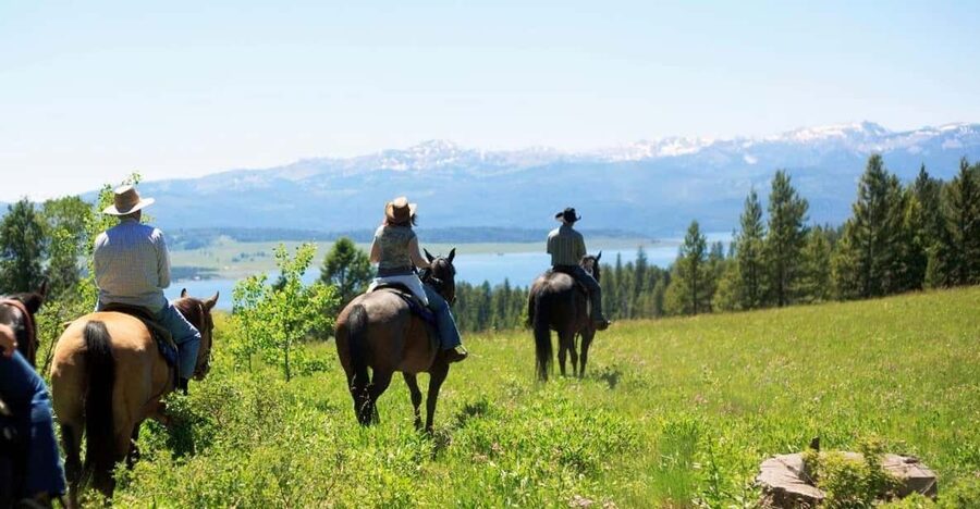 Marmaris Horse Safari - How Much Value Do You Get for $42?