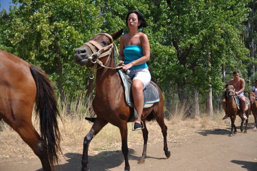 Marmaris Horseback Riding Experience - Booking, languages, and cancellation