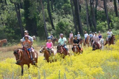 Horseback Riding in the Forest w/Hotel Pickup