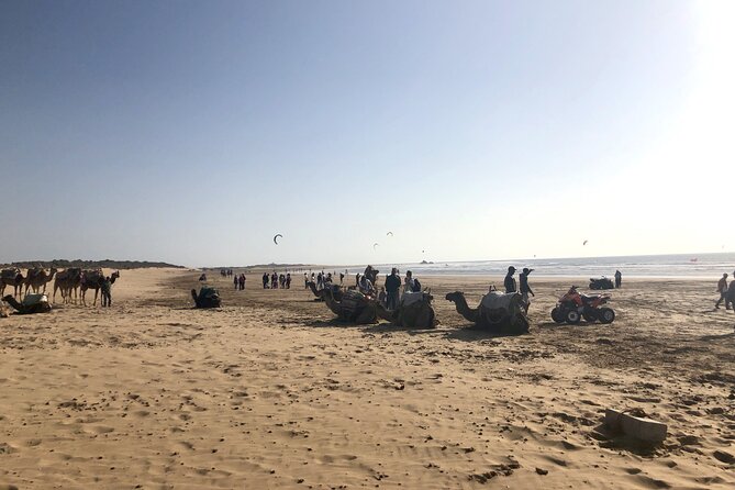 Marrakech Day Trip to Essaouira - Horseback, Camel Ride, ATV on the Beach - Key Points Before You Book