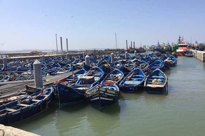 Marrakech Day Trip to Essaouira - Horseback, Camel Ride, ATV on the Beach - A 15-Minute Camel or Horseback Ride by the Sea