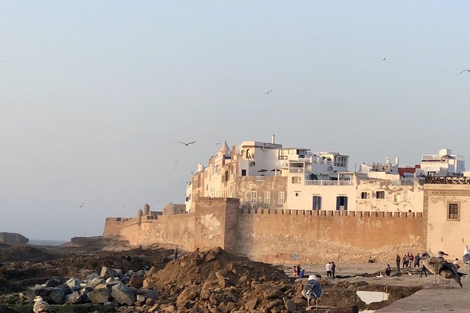 Marrakech Day Trip to Essaouira - Horseback, Camel Ride, ATV on the Beach - What the Optional ATV Ride Adds