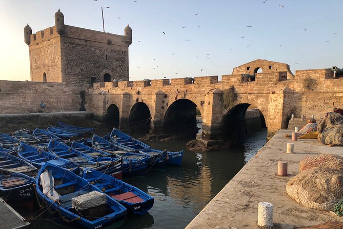Marrakech Day Trip to Essaouira - Horseback, Camel Ride, ATV on the Beach - Who Will Enjoy This Day Trip Most?