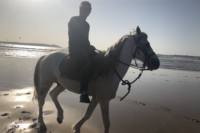 Marrakech Day Trip to Essaouira - Horseback, Camel Ride, ATV on the Beach - First Look at Essaouira’s Old Harbor and Ramparts