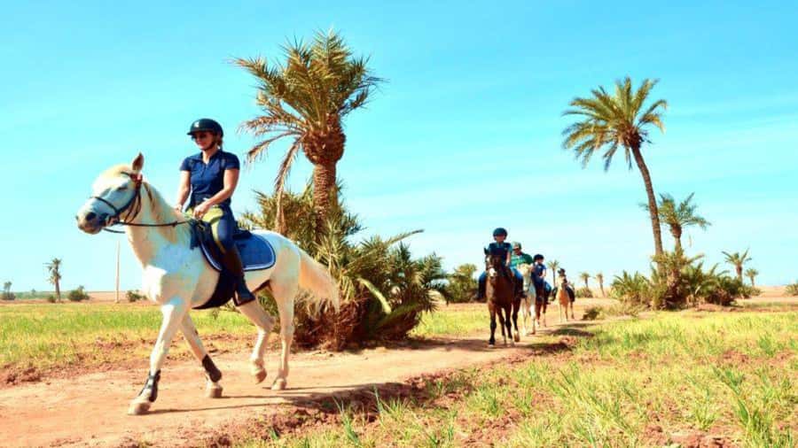 Marrakech: Desert and Palmeraie Horse Riding Tour & Transfer - Choosing a horse and meeting your guide