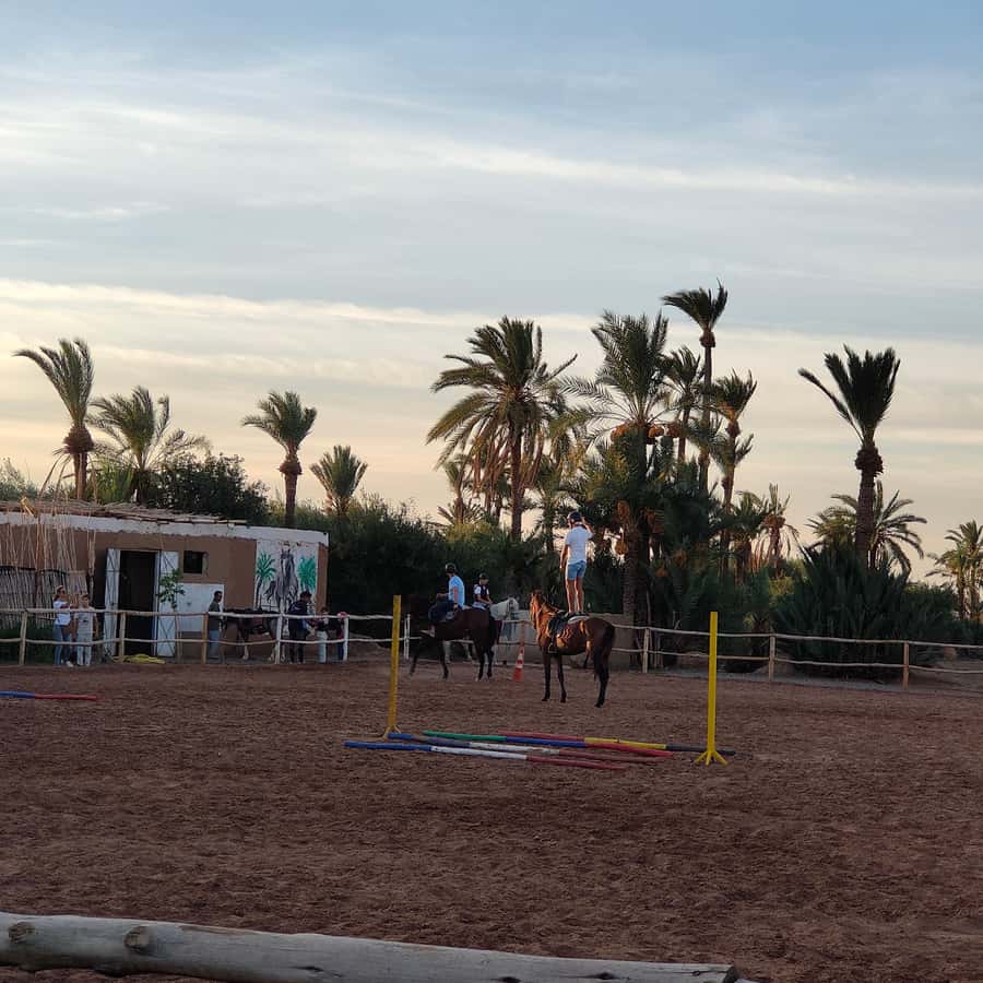 Marrakech: Desert and Palmeraie Horse Riding Tour & Transfer - Riding through the Palmeraie