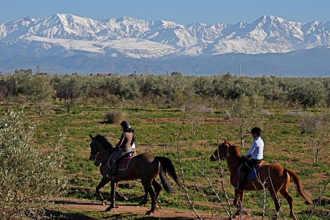 Marrakech Horse Riding - Key points at a glance