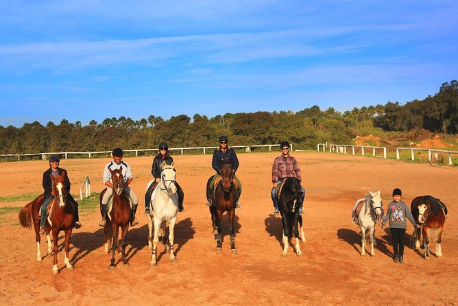 Marrakech Horse Riding - Leaving Marrakech for the palm groves