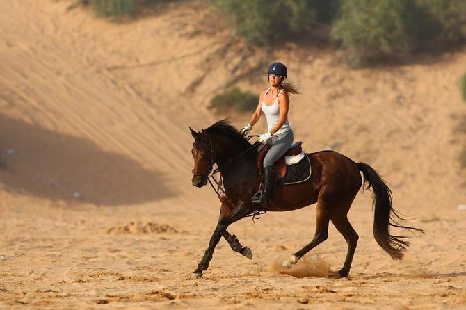 Marrakech Horse Riding - Choosing the right horse and route