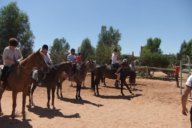 Marrakech Horse Riding - Is $46.98 a fair price?