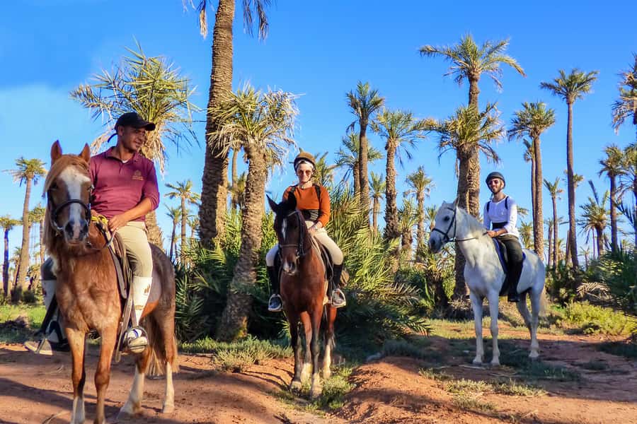 Marrakech: Palm Grove Horseback Riding Tour - Key points to know before you book