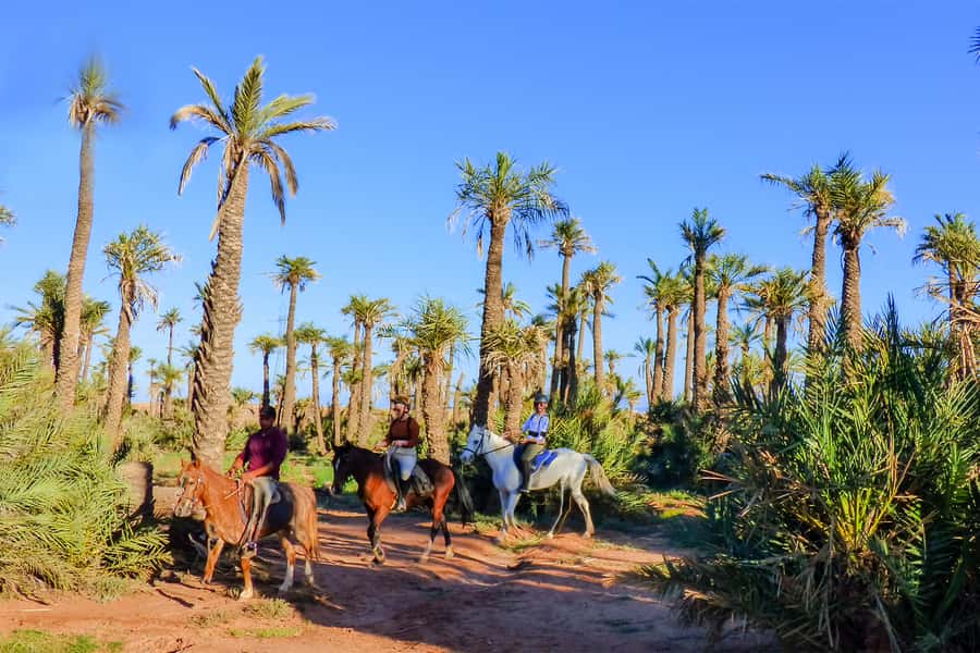 Marrakech: Palm Grove Horseback Riding Tour - Leaving Marrakech for the Palmeraie