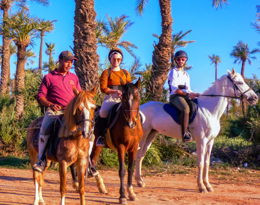 Marrakech: Palm Grove Horseback Riding Tour - Who should book this Palmeraie ride?